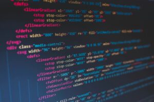 Programer, low code, full code, developer